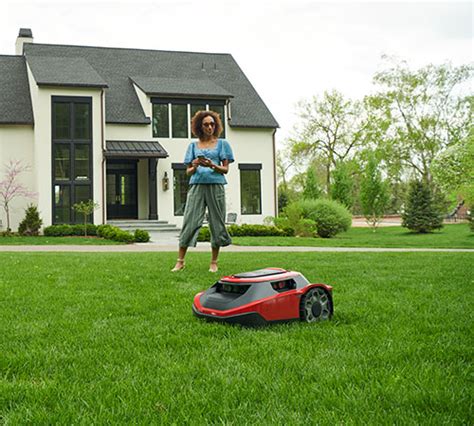 mexican lawnmower|The Mexican Lawnmower: Navigating Regulations and Impact